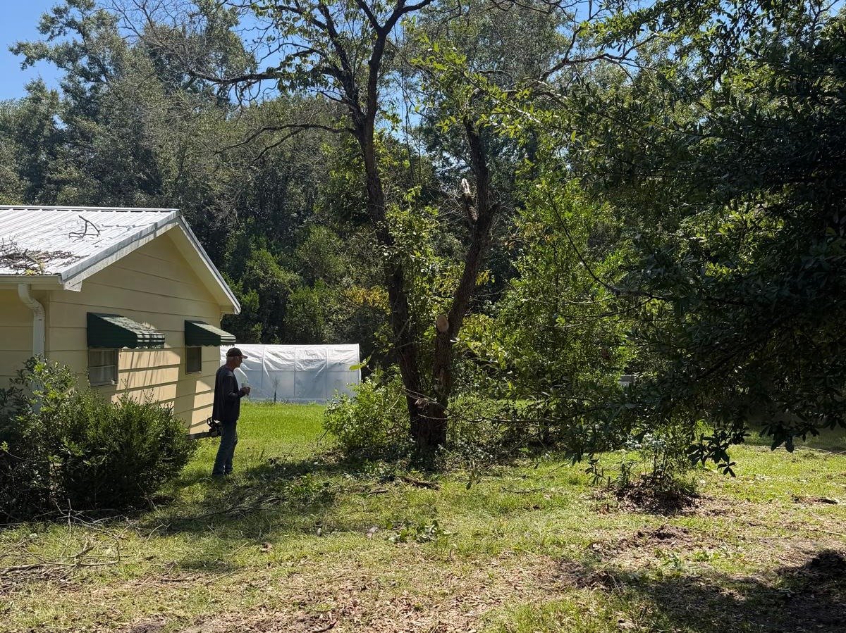 El Costeño Tree Service LLC